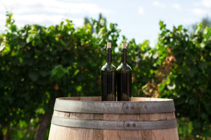 Les vignerons indépendants ligériens inquiet face aux droits de douane