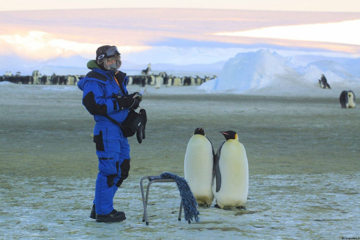 Épisode InSitu#4- Sur les deux pôles de l'émission In Situ