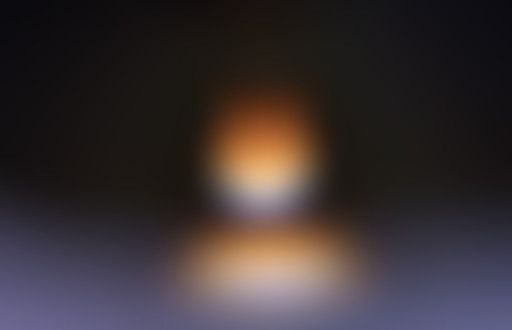 Novorama / spéciale festivals de rentrée