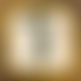 BRTZ Podcast x Swamp Diggers