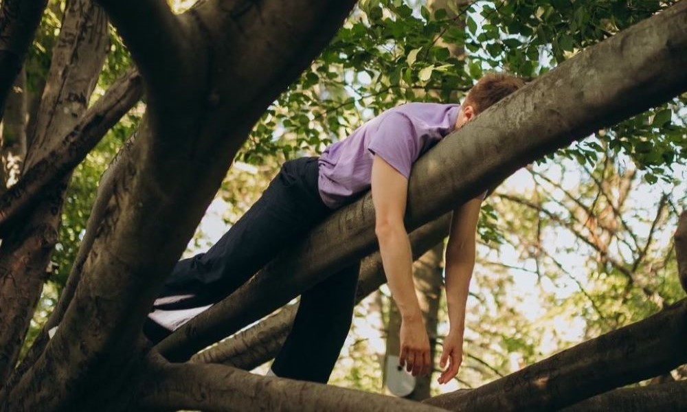 Pochette de l'album Somnambula — DR Blooms Corda - "La Métamorphose"