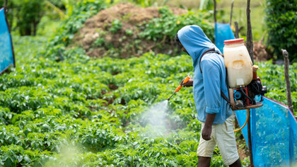 Pesticides : l’Europe peut-elle concilier santé, environnement et agriculture ?