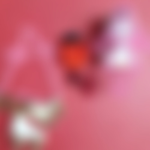 AU FEMININ LE SINGULIER L’EMPORTE : ALIX DE ZERO W...