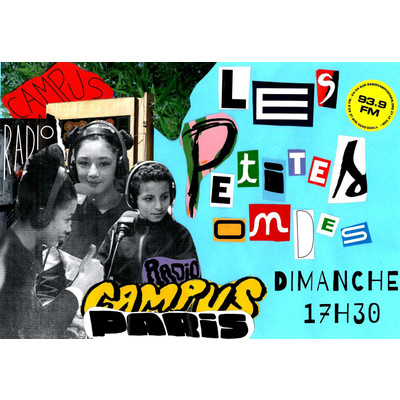 Les émissions du collège Marais de Villiers episode artwork