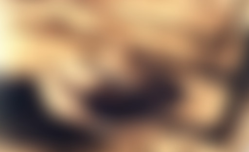 LPCX : Pratique de l'ethnoarchéologie