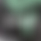 La Bouquinerie reçoit Oblique