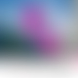 La demi-heure // Florie Marie du Parti Pirate