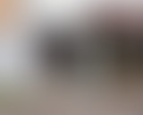 Museum side : Paysages français & André Derain