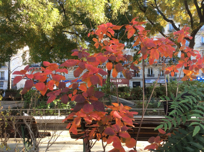 Épisode #3 - La Nouvelle Bouquinerie // Le Territoire de l... de l'émission Pipe au bec