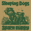 Sleeping Dogs • The Sun Palace
