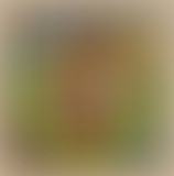 Laty Pik @ Bam Salute Show