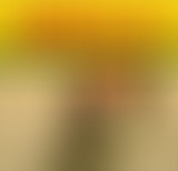 Bam Salute special Carlton Livingston / Digital B