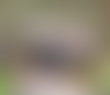 Chablis Hebdo : "Je zad et je matte"