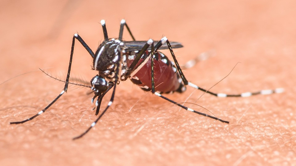 © Pawich Sattalerd - Shutterstock Serons-nous capables de gérer l'impact du changement climatique sur notre santé ?