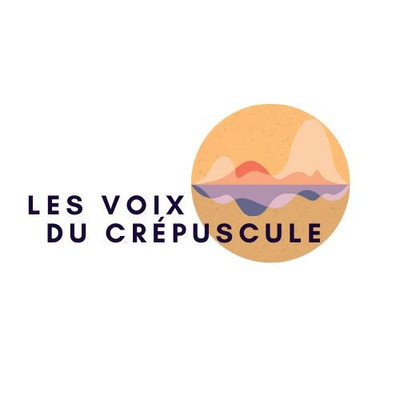 Une critique de l'instrumentalisation de l'antisémitisme : la séquence post proposition de loi Yadan episode artwork