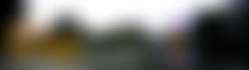 Les Passants sur Seine #02 - Promener son chien