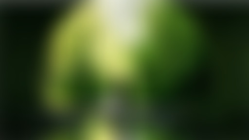 Extérieur Nuit : DES HOMMES ET DES DINOS