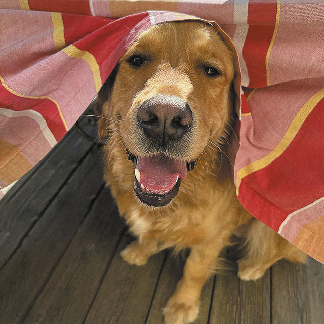 Don't Bend (My Friend)