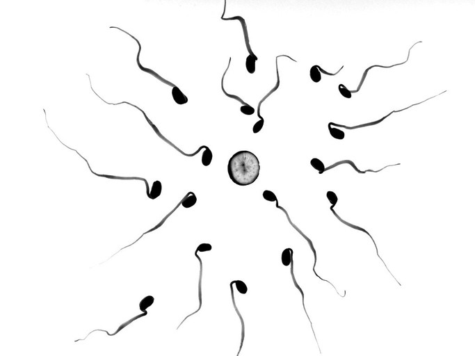 Épisode En Futur Simone #17 – Le don de l'émission En Futur Simone