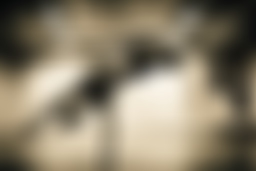 Capoeira au féminin