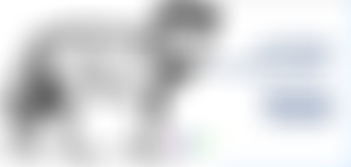 Récréation sonore : Les loups de Bruxelles //  19...