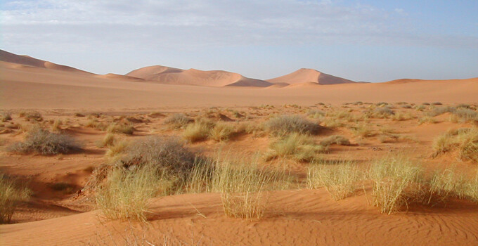 Épisode Mappemonde : Sahara de l'émission Mappemonde