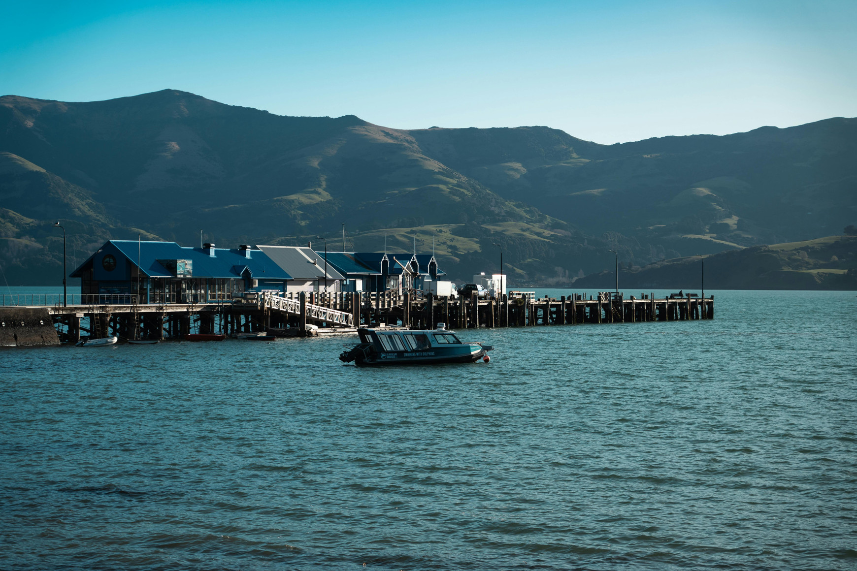 Photo de Donovan Kelly - Pexels Voyage à Akaroa