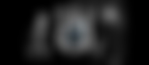 Le Quart passe en Revue