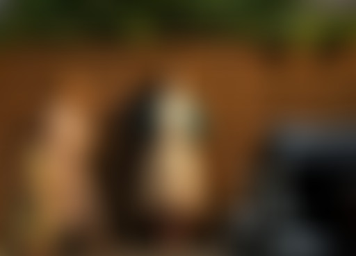 Extérieur Nuit : Brooklyn folies