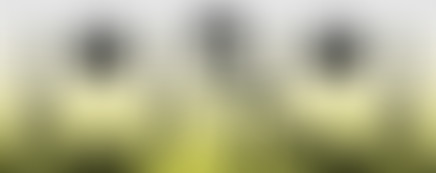 Showcases Balades Sonores - Maison Vide