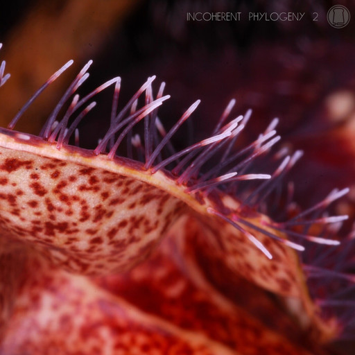 Épisode Amplitudes : Incoherent Phylogeny 2 de l'émission Amplitudes