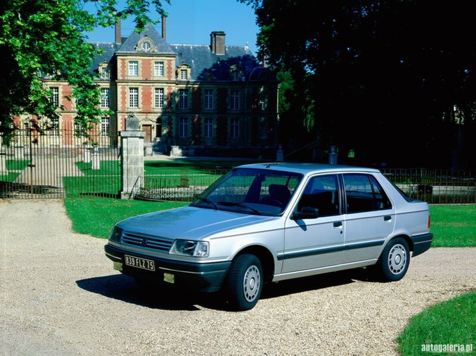 Épisode La tuture à papa - Peugeot 309 de l'émission La tuture à papa