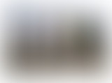 Récréation sonore : Regardez l'appareil photo