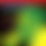 Bam Salute ina Roots and Dance Hall Style