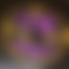 Face aux murs // Noé et les trottoirs qui chantent