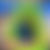 La Ligue Des Albums Incompris (Ep.50)