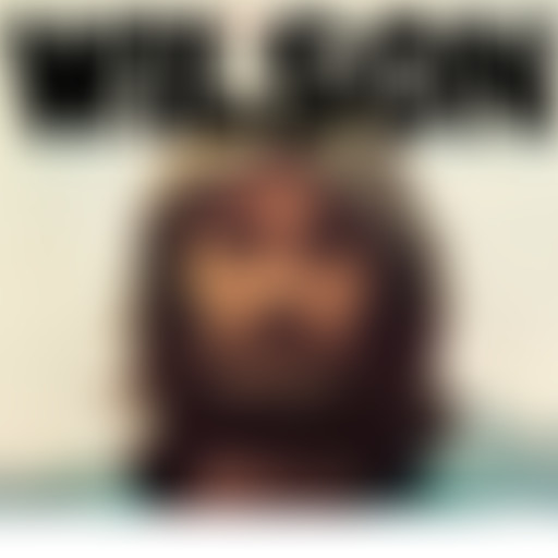 Ligue des Albums Incompris (Ep.39) Dennis Wilson