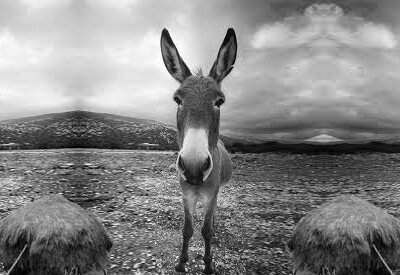 Épisode Clivage, mon beau clivage... de l'émission Pièces détachées