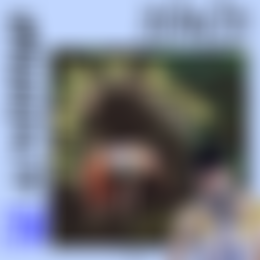 Clara Le Meur : STRN Radio