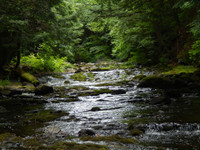 Quelle place voulons-nous donner à la nature ?