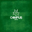 C4MPUS • Hamachi