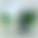 La Ligue Des Albums Incompris / Elton John (Ep.12)