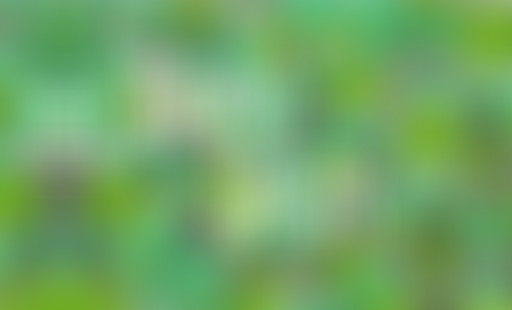 Bring Green