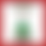 Une émission spéciale noël... ou presque