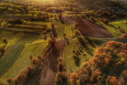 Long terme et agroécologie