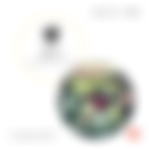 MUSIQUES HYBRIDES : LE KOMPA