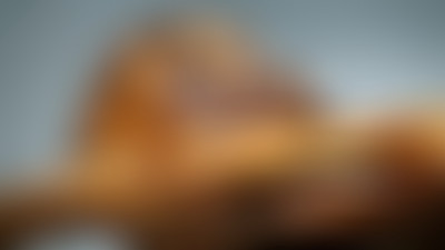 LPCX : Roman noir de l'été - Otzi, le premier meur...