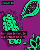 Graines de l'été