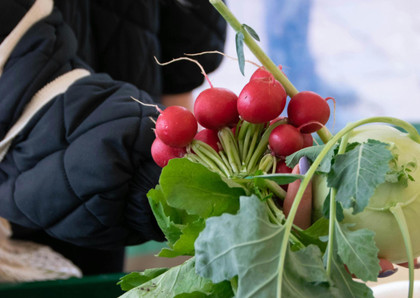 L’AMAP remet de la solidarité dans nos assiettes