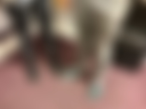 La Matinale – LPPR ou la recherche en danger